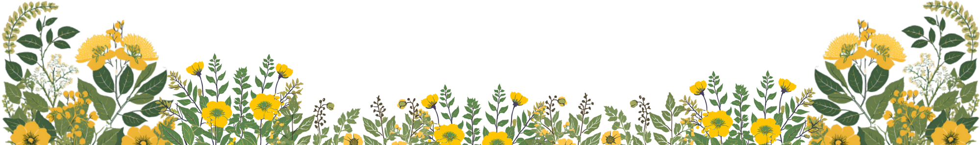 Footer background
