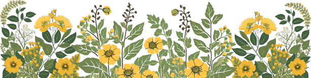 Footer background